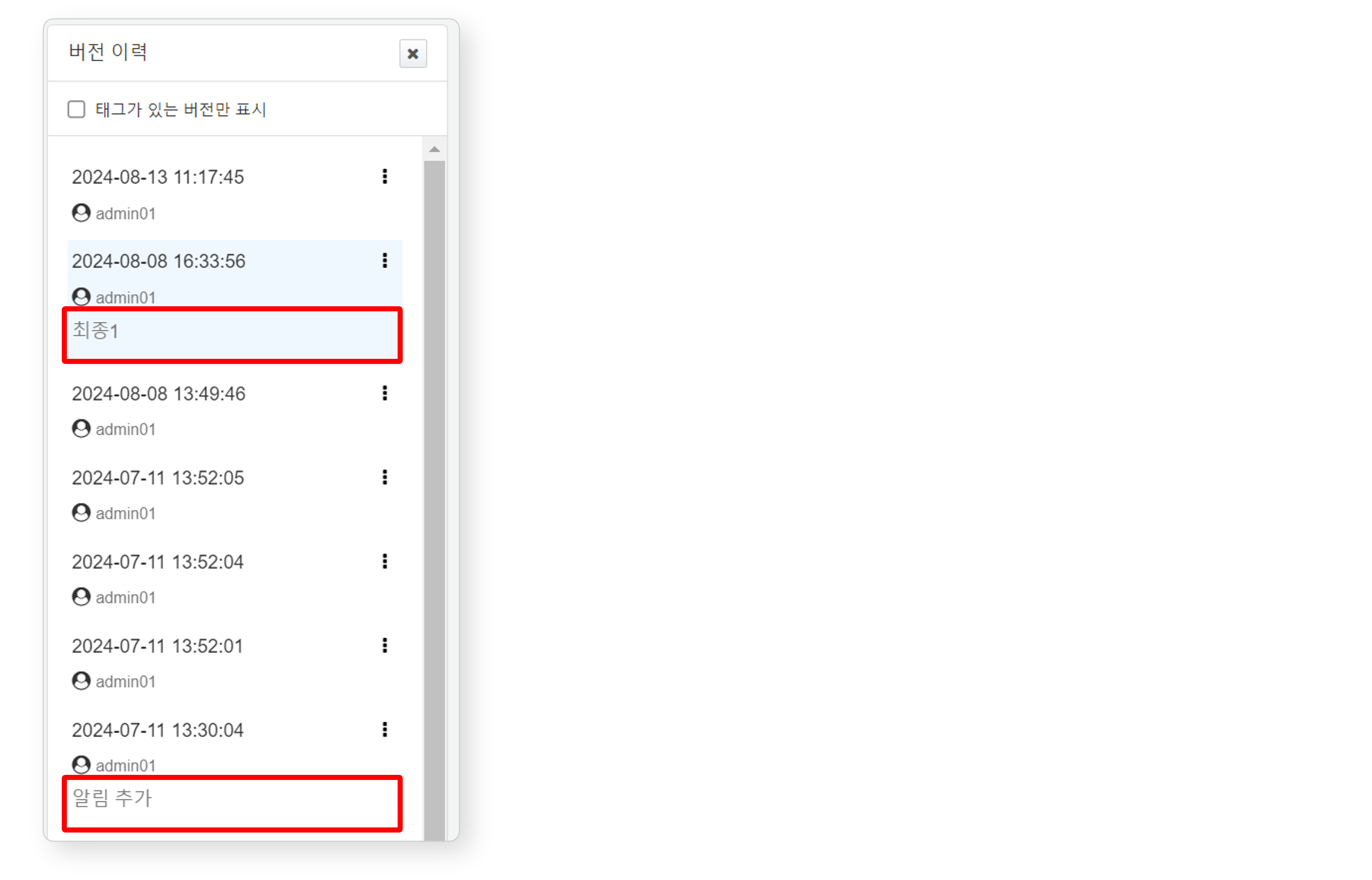 Version History Tag