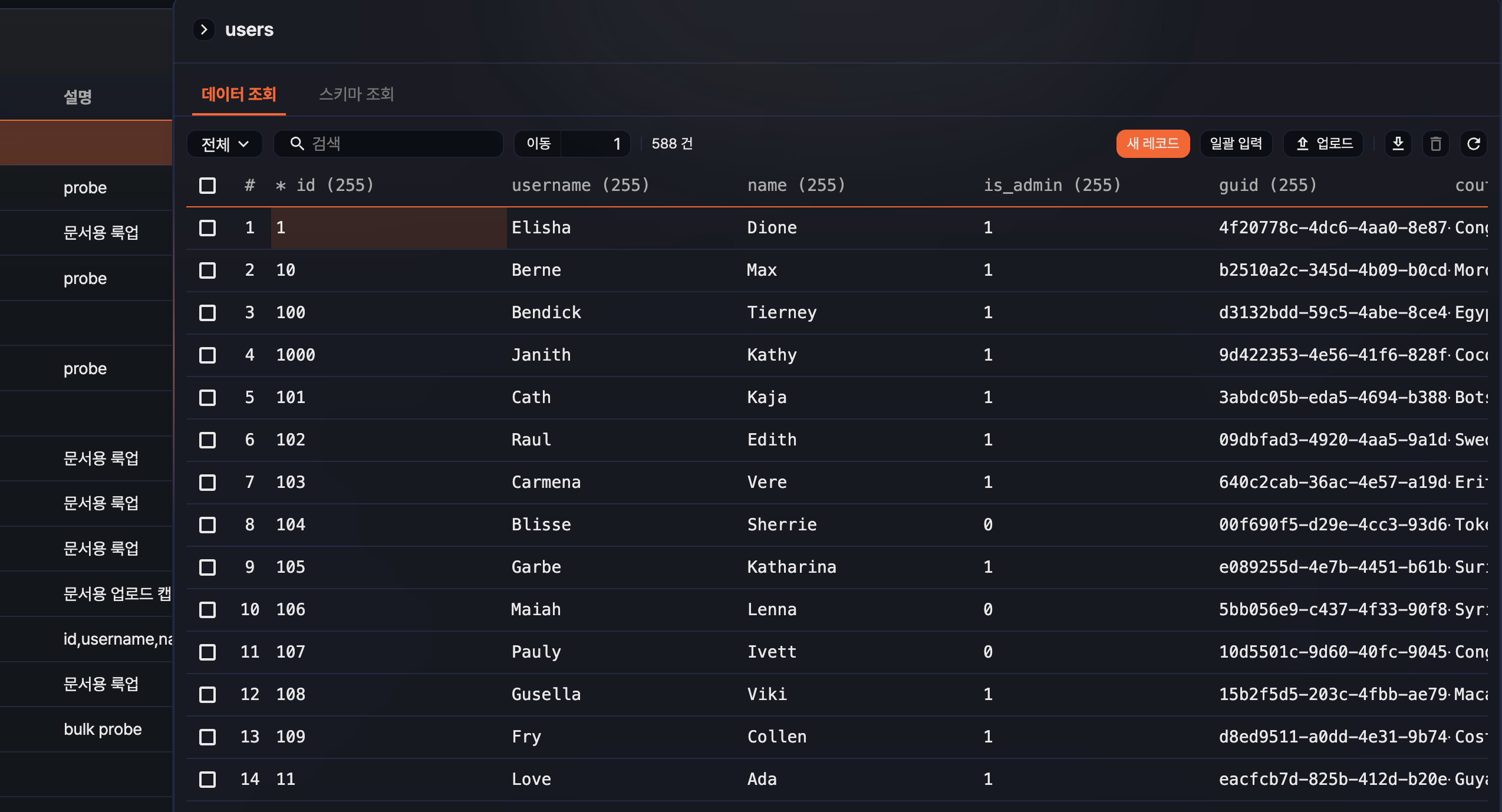 룩업 레코드 조회